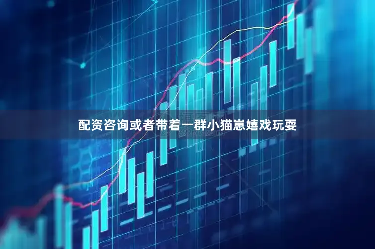 配资咨询或者带着一群小猫崽嬉戏玩耍