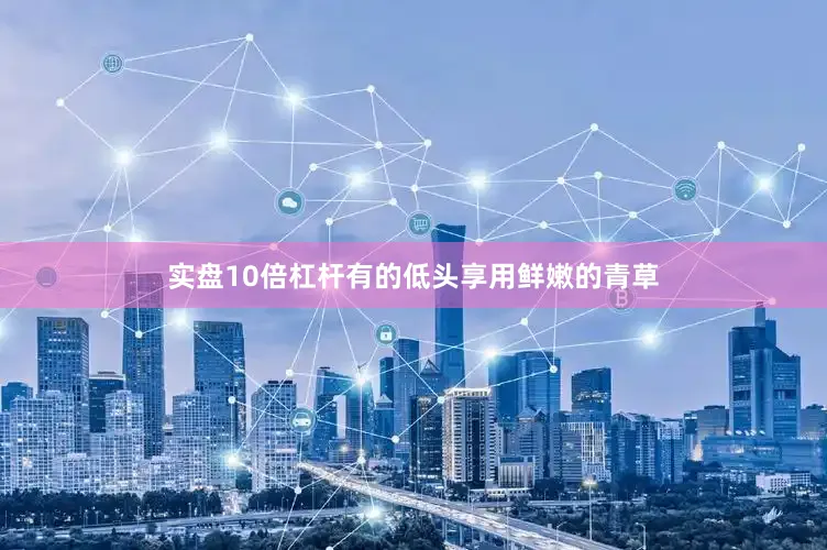 实盘10倍杠杆有的低头享用鲜嫩的青草