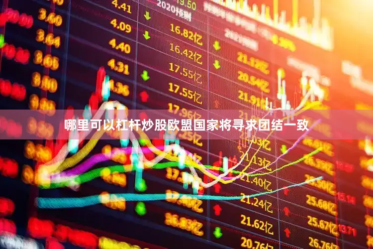哪里可以杠杆炒股欧盟国家将寻求团结一致