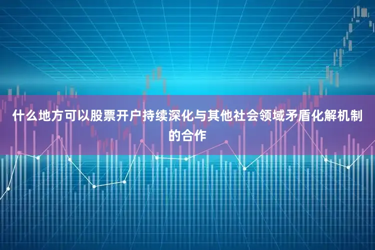 什么地方可以股票开户持续深化与其他社会领域矛盾化解机制的合作